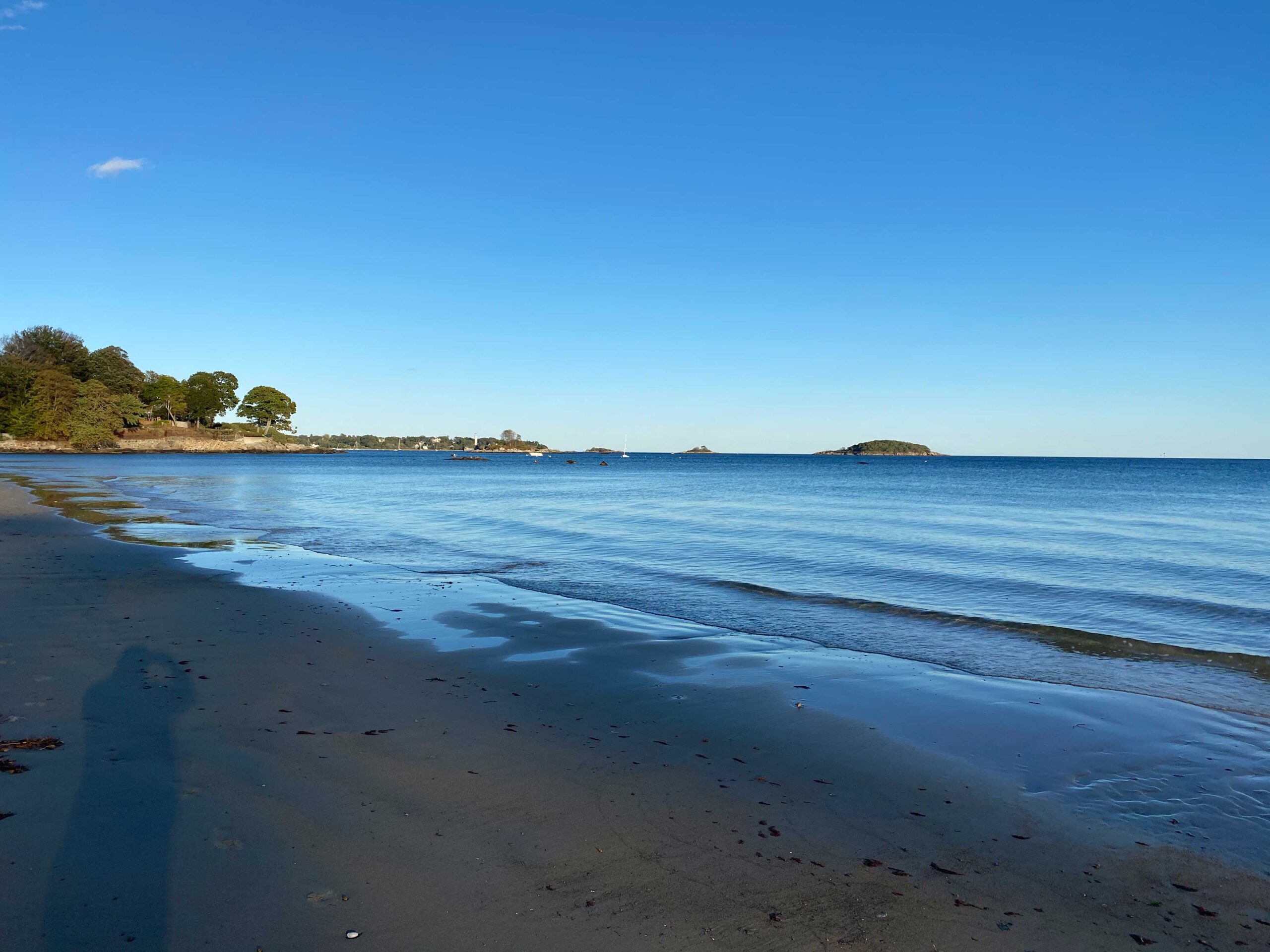 West Beach shoreline on a clear day